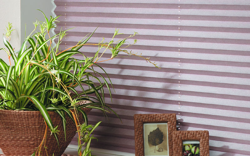 Get modern, pleated blinds from The Blind Shop, Canberra in vibrant colours - lavendar